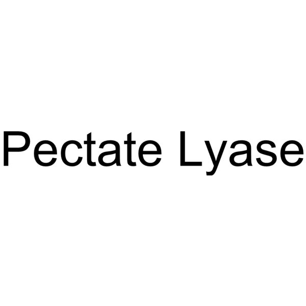Pectate Lyase 9015-75-2